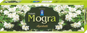 palash-mogra-1030x390